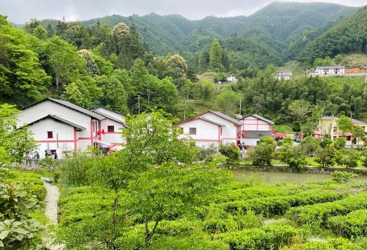 比“糍粑越打越甜”更甜的，是井岡山神山村的笑容