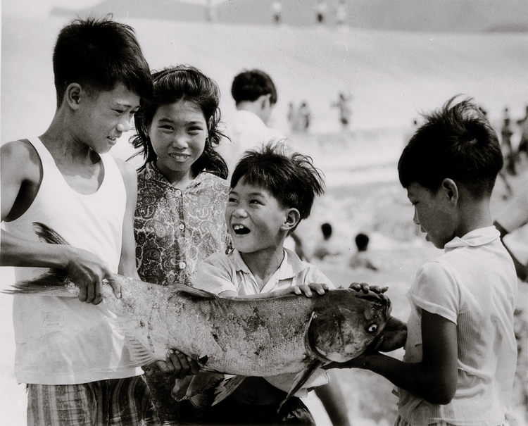 是他们，打通了香港水源的“生命线”
