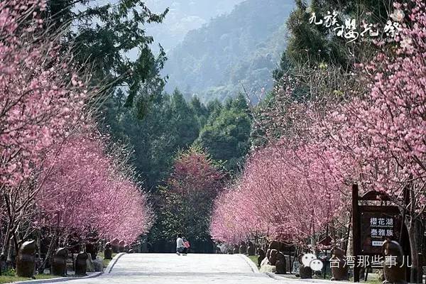 春節(jié)赴臺，這些賞櫻勝地你知道嗎？