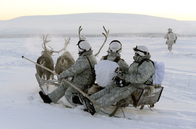 俄罗斯士兵在北极与鹿和雪橇犬一同演练(高清组图)