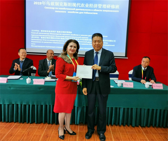 （中首 图）成立三年 陕西自贸试验区为助力“三个经济”发展交上亮眼成绩单