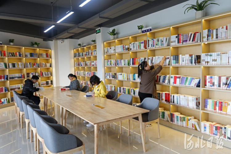 河北尚义：森林公园里有个图书馆