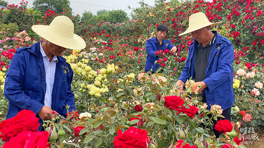 习近平赴河南南阳考察，为何关注这些名人、名产？