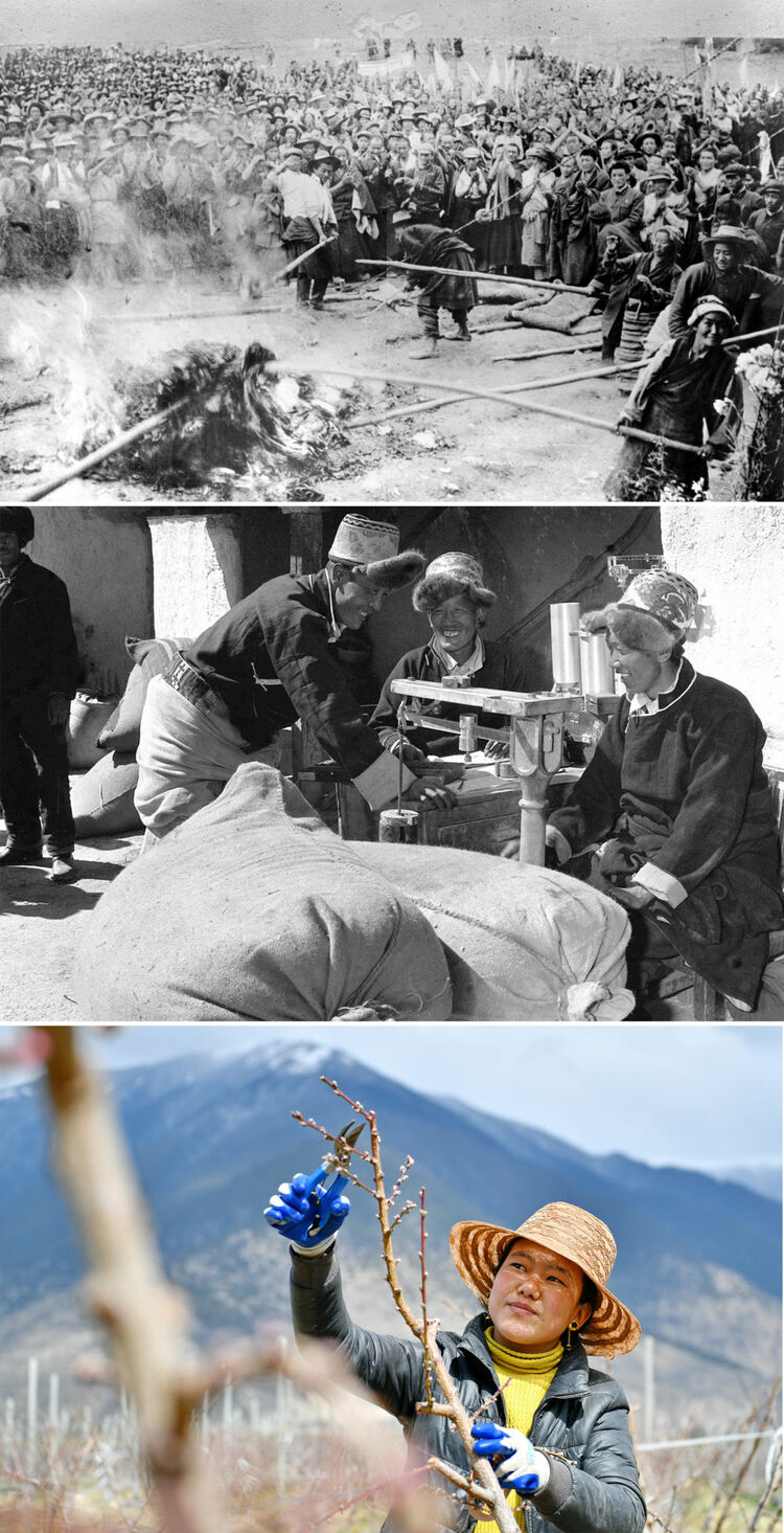 共产党领导西藏各族人民掀起了波澜壮阔的民主改革,百万农奴获得解放