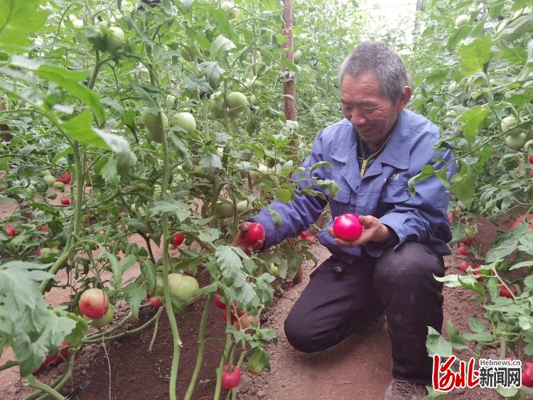 河北持續加大産業就業和科技幫扶