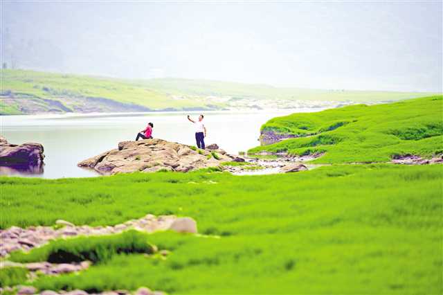 重慶巴南：中壩島草海扮靚長江岸線