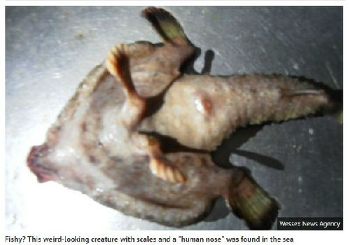 加勒比海捕到"人鼻双脚怪鱼" 能在海床行走(图)