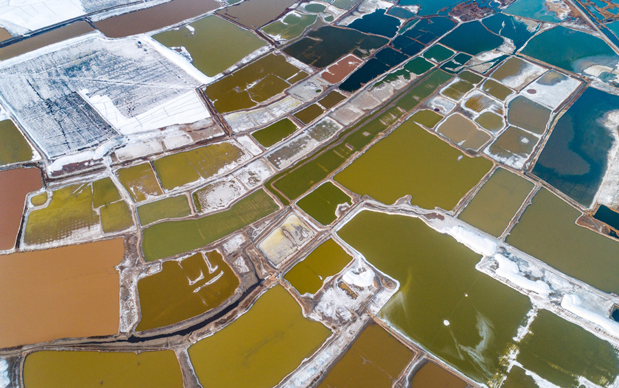供稿【CRI看山西-列表】【焦点图】【三晋大地-运城】夏季运城盐湖美如画