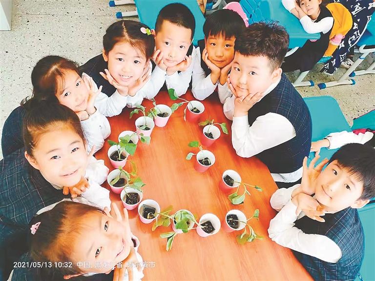 “远程同步种植”启动 哈尔滨市中小学生带种苗回家