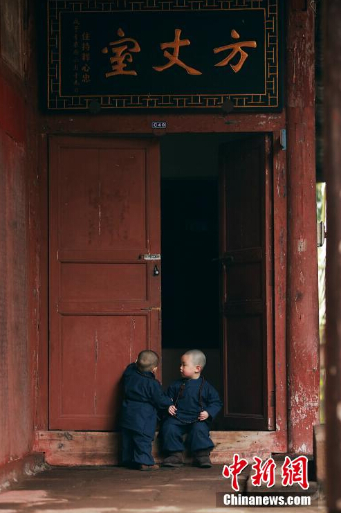 重庆合川二佛寺现最萌和尚兄弟组图