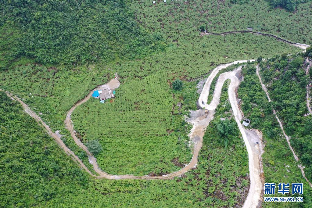 廣西：走好生態脫貧路 讓荒山披綠窮嶺生金