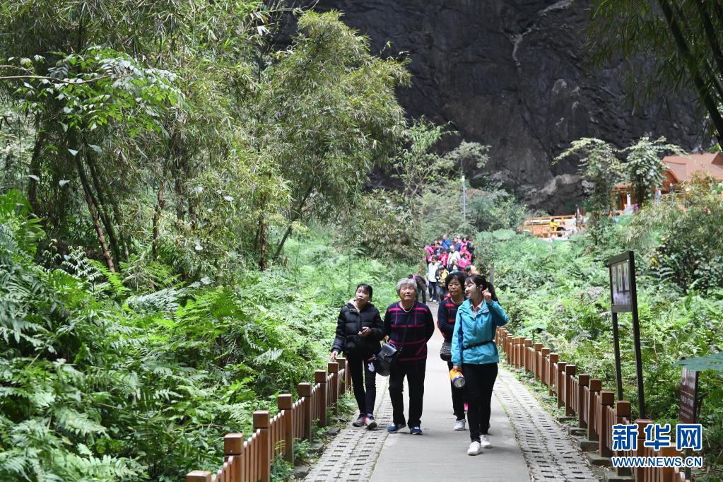 廣西：走好生態脫貧路 讓荒山披綠窮嶺生金