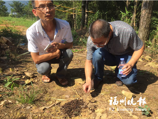 “绿色使者”守护福州青山绿水