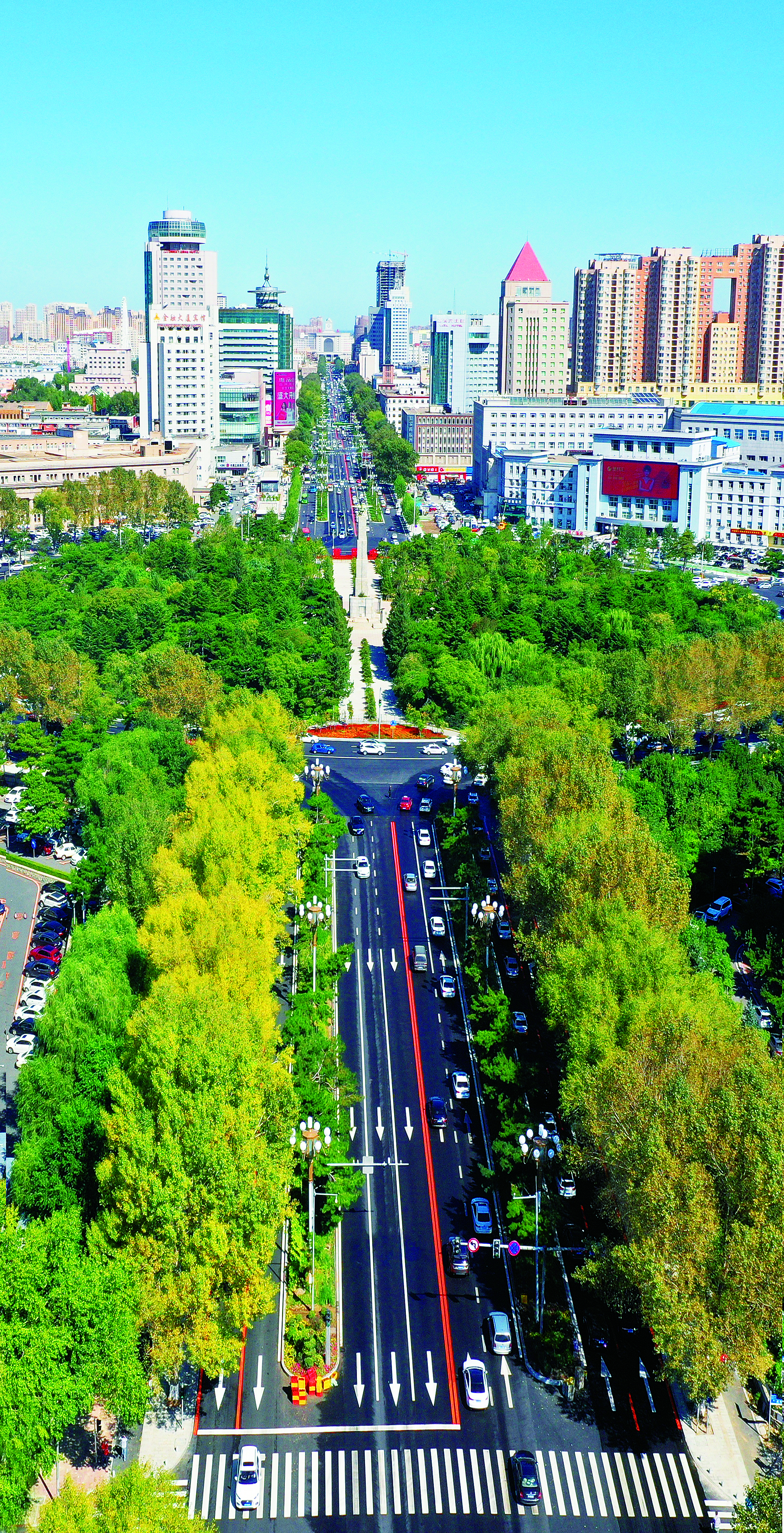 长春市人民大街：夏“衢”如碧映繁华