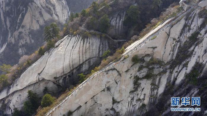 图片默认标题_fororder_1125838789_15865051085941n