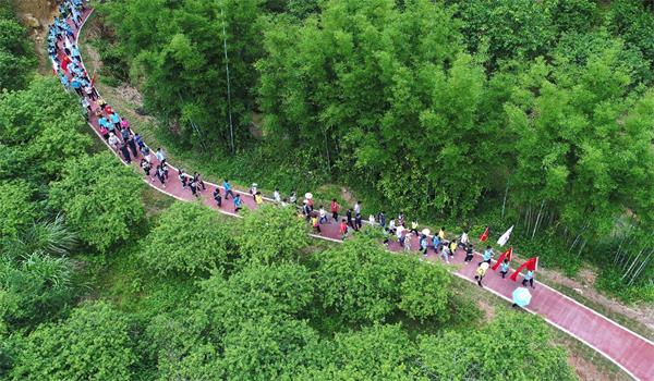 广州“镜”是这么绿：串珠成链 锦绣千里