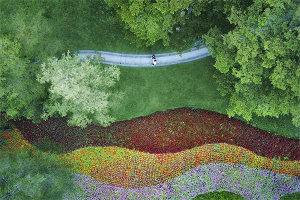 广州“镜”是这么绿：串珠成链 锦绣千里