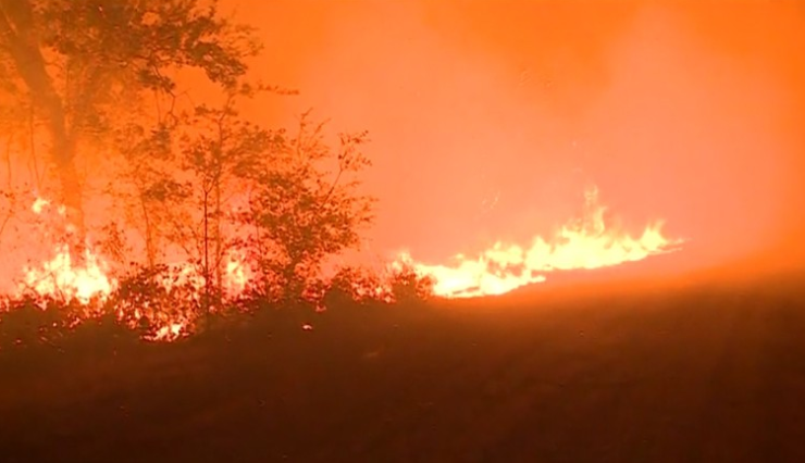 美國加州北部森林大火已致10人遇難 火勢仍未得到控制_fororder_QQ圖片20171010145105