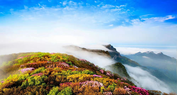 【原創】2021國際山地旅遊日世界遺産名山(金佛山)峰會將於5月29日在重慶南川舉行_fororder_圖片2