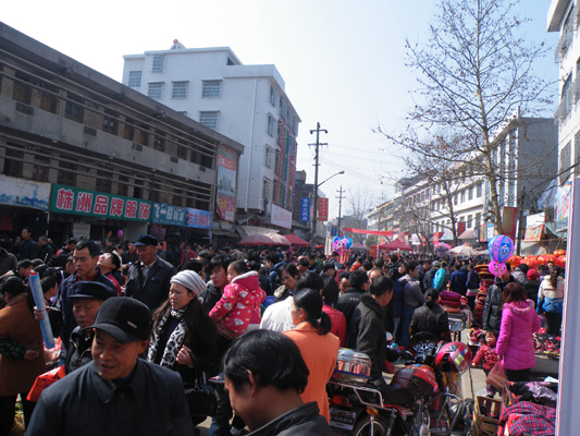 鎮(zhèn)上年貨街 引來城里人