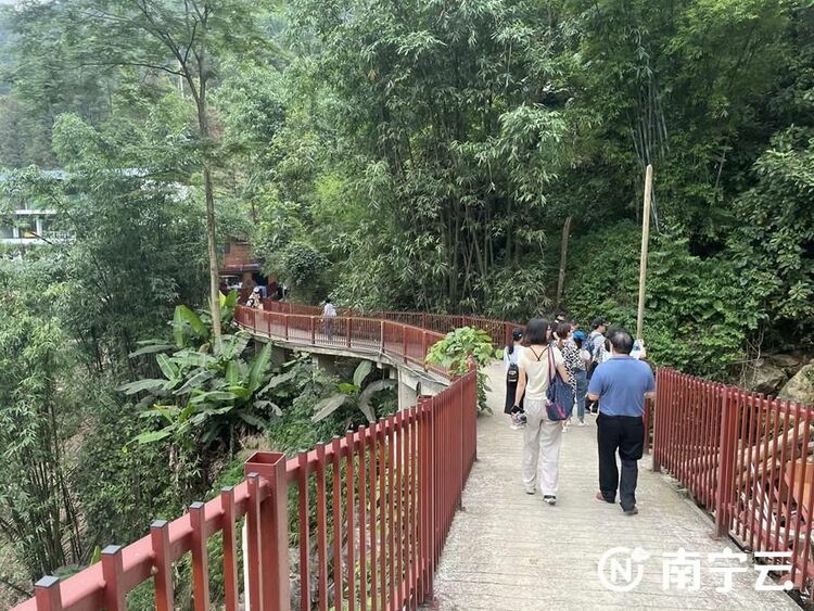南宁上林县下水源：游客向往的天然“绿色大氧吧”