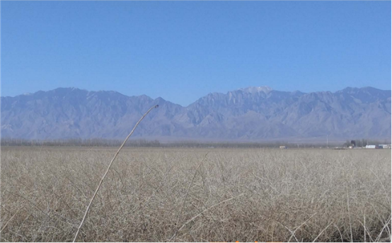 继中国枸杞馆之后，百瑞源联手“特产大师”夏科再造枸杞庄园！