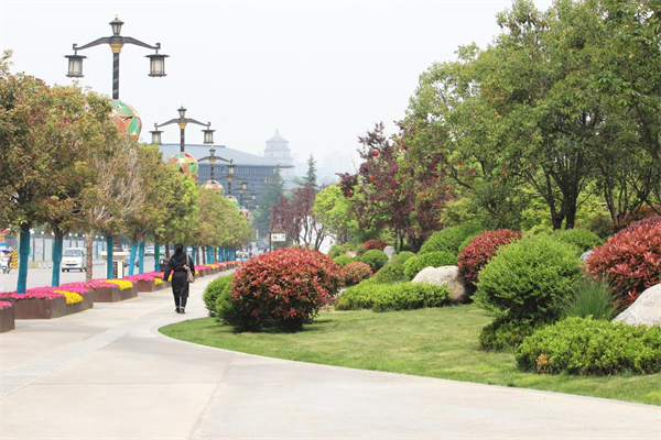 绿地公园，兜住简单的幸福_fororder_图片2