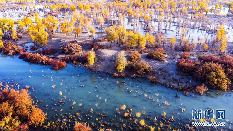 Xinjiang’ın Alar kentinde çöl turizminin gizemi_fororder_ALARKNETI
