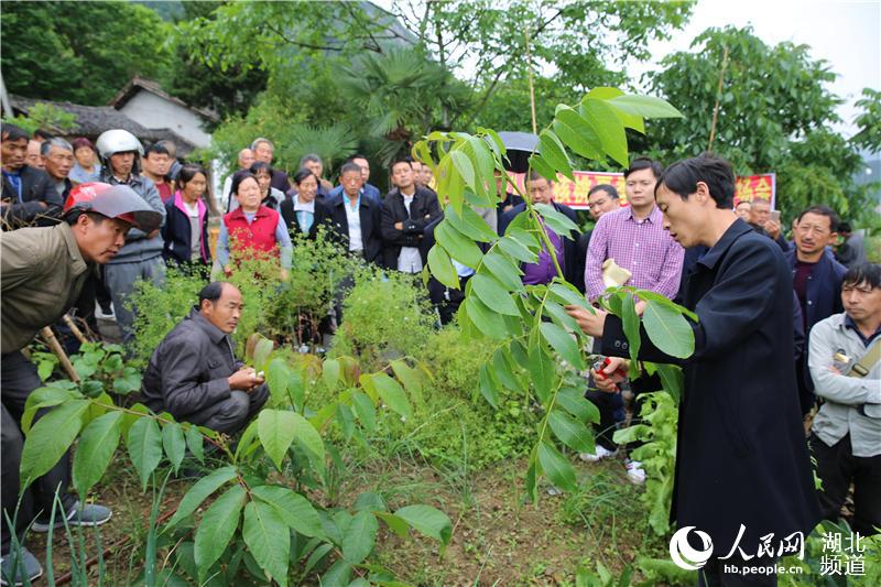 湖北秭归：技术培训会开到果园里为果农解技术难题