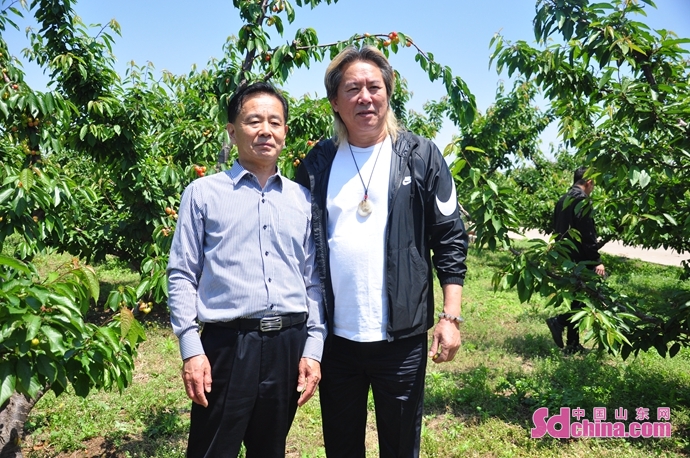 青岛幸福时光开心农场2021年樱珠采摘季5月22日开启 邀你共赴近郊休闲“慢生活”