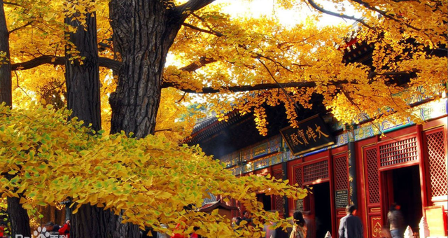 （用于非遗专题填充稿）北京怀柔红螺寺