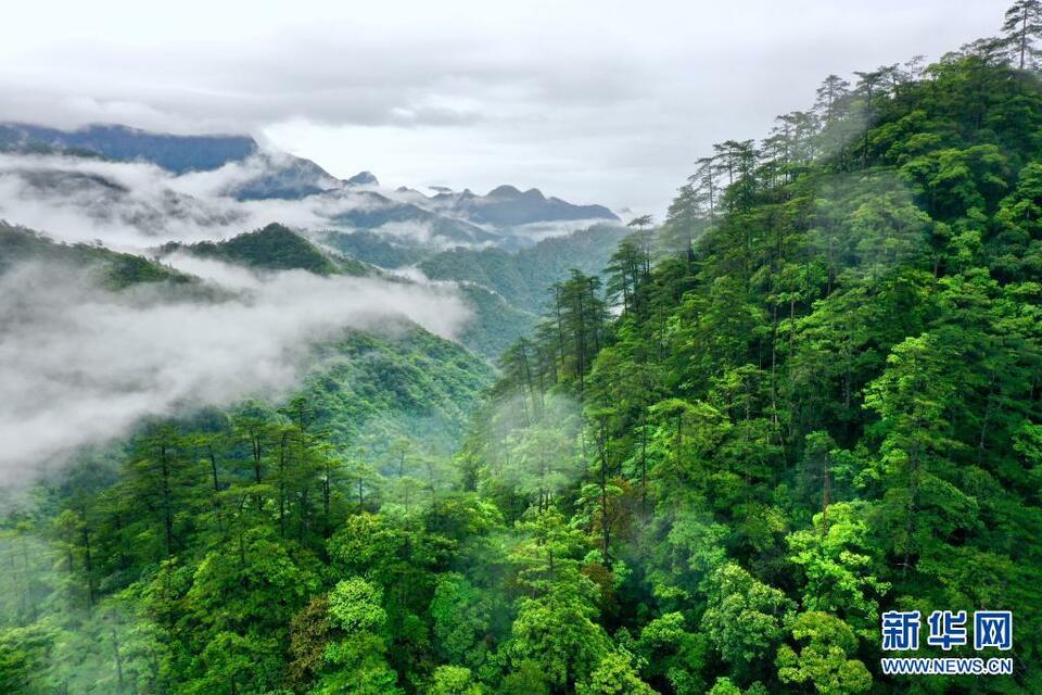 雨後武夷美