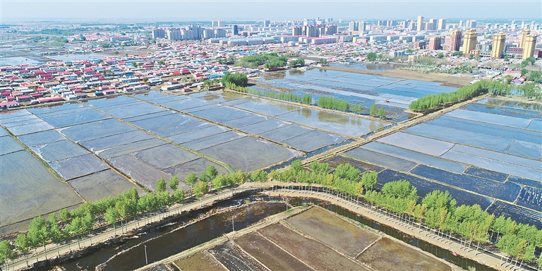 肇源三岔河：擁抱松花江