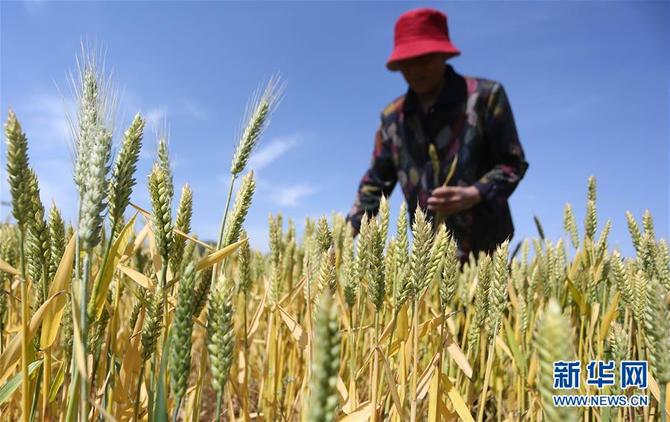 图片默认标题_fororder_1210138715_15583456421791n