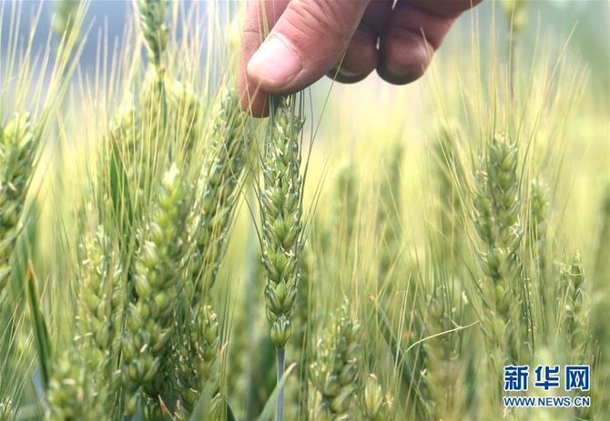 图片默认标题_fororder_1210138715_15583616025871n