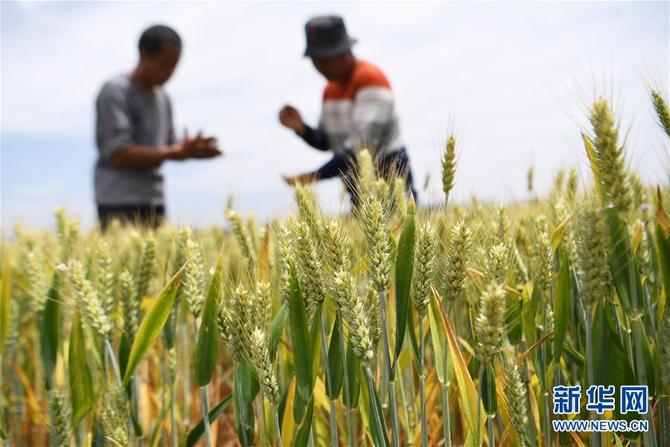 图片默认标题_fororder_1210138715_15583456420761n