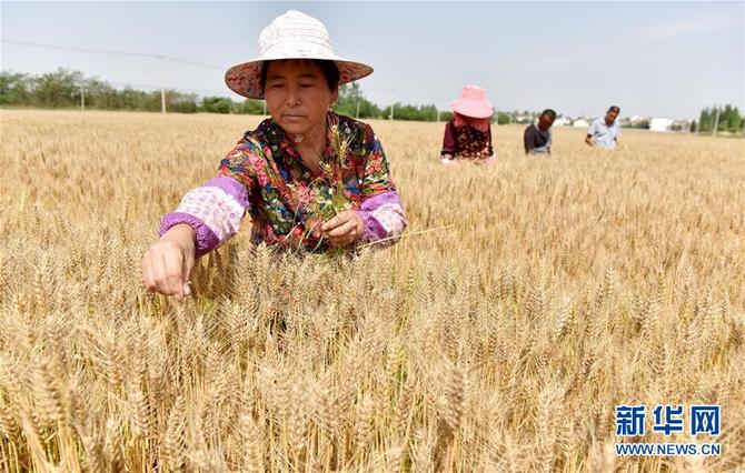 图片默认标题_fororder_1210138715_15583456421041n