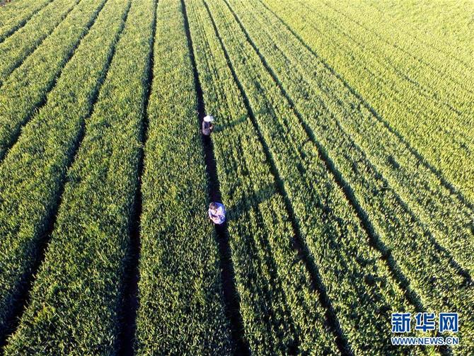 图片默认标题_fororder_1210138715_15583456421341n