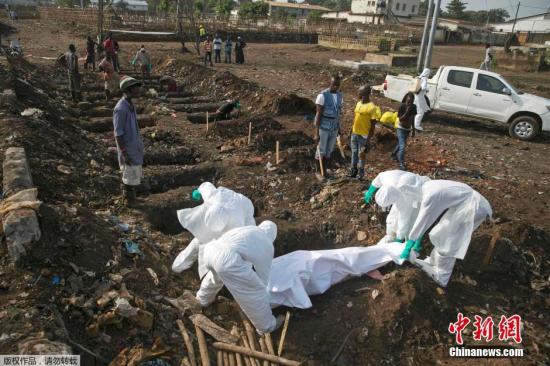世卫：塞拉利昂约有48名埃博拉病患不知所踪