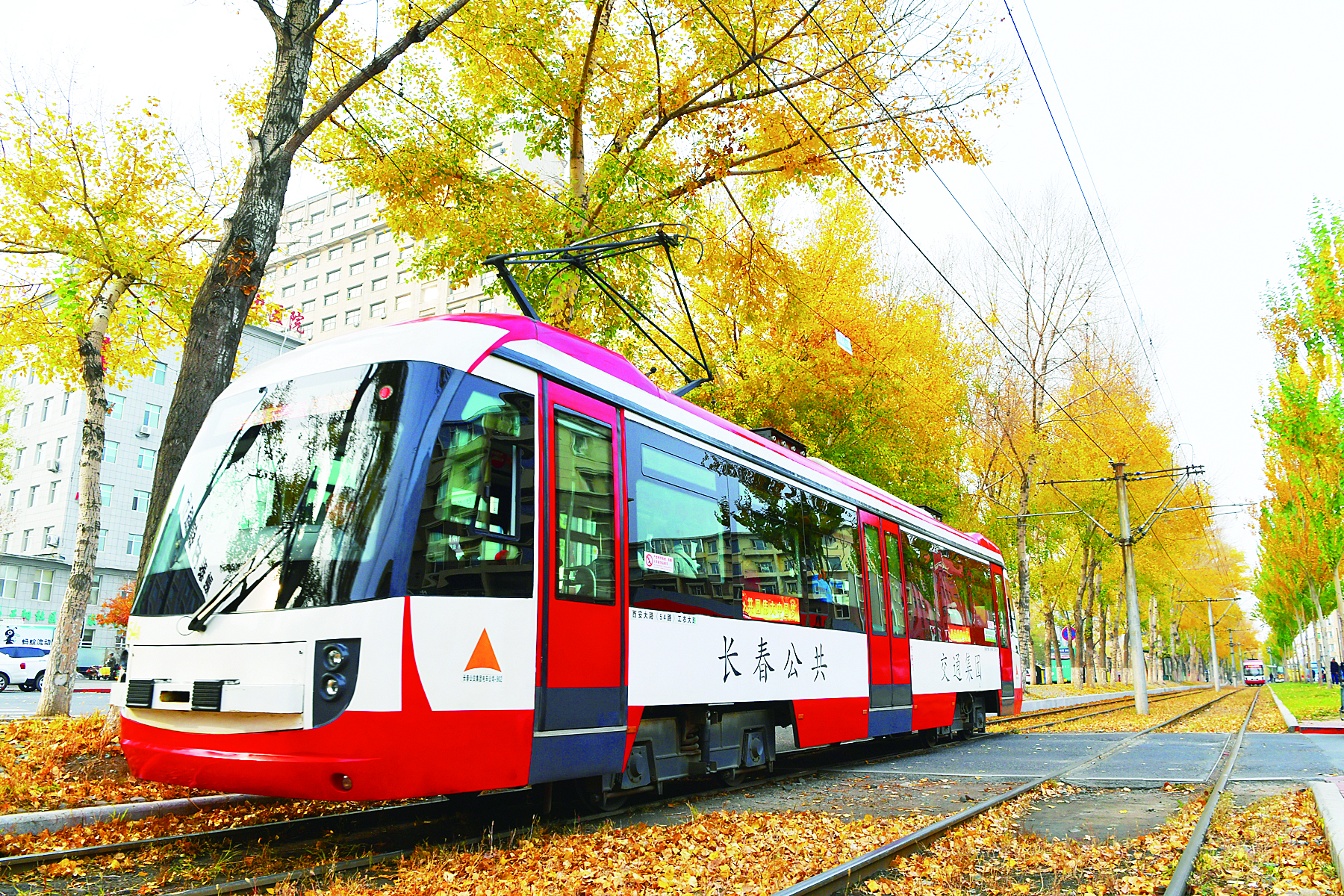 长春市春城大街落叶景观艺术街区 意境情怀并存的秋意画卷