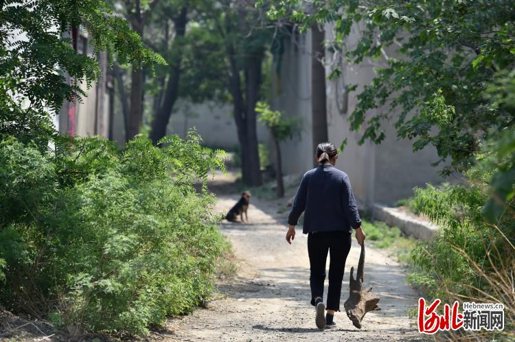 河北讚皇：縴手巧雕木韻濃