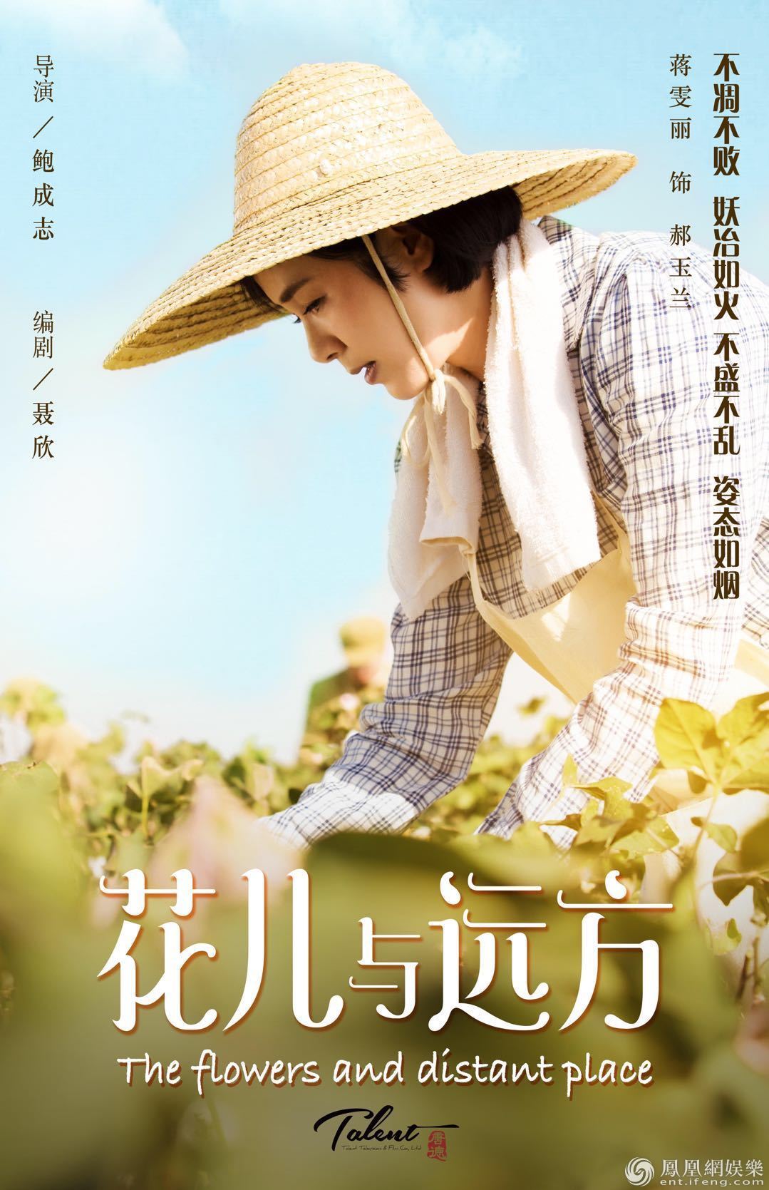 该剧讲述了上世纪50年代初,一群山东女兵响应国家号召,远赴新疆兵团和