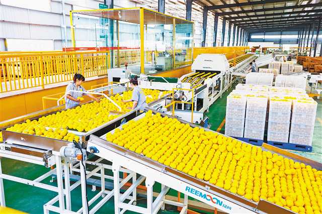 重庆6个区县新获批国家外贸转型升级基地