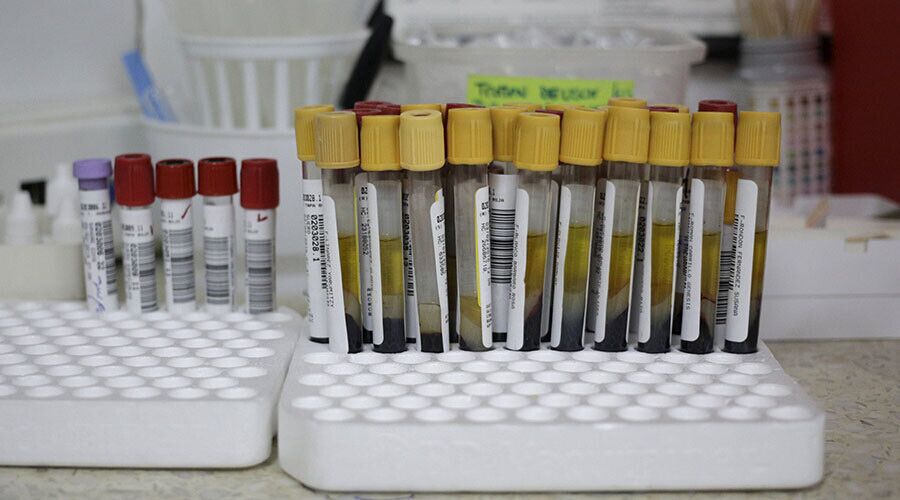 印度生物技术公司宣称已研制出两款寨卡病毒疫苗