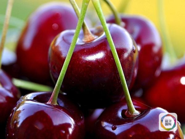 抢占春节市场　澳新食品商“挤破头”