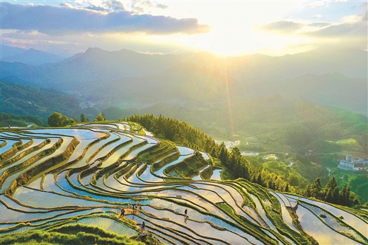 广西融水：苗山农耕 赓续千年