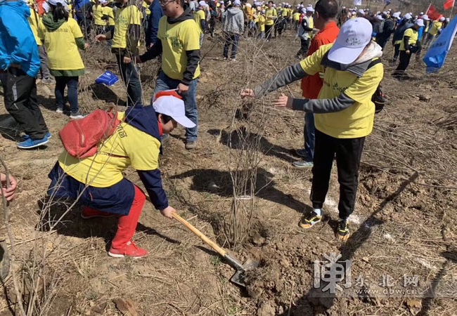 黑龙江省出台乡村绿化美化行动方案 建设生态宜居美丽乡村