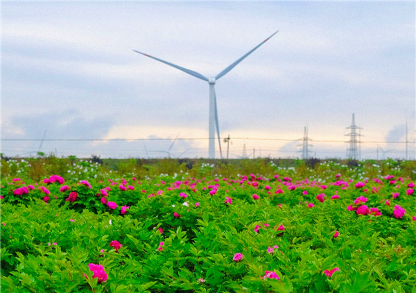 （原创   已改）陕西潼关：在高质量发展的探索中奋进