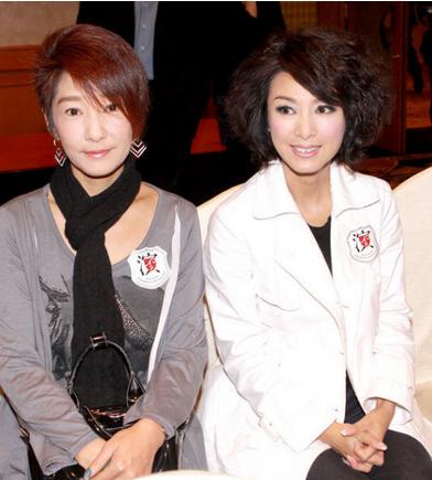 命运相似的明星姐妹花:大小S嫁豪门 秀妍秀晶走红