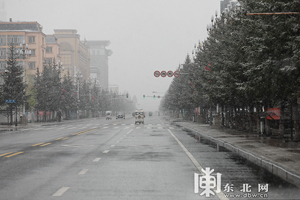 黑龙江漠河五月迎飞雪